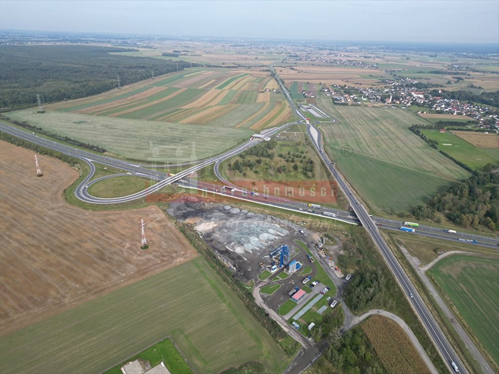 Działka inna na sprzedaż Rogów Opolski  19 842m2 Foto 7