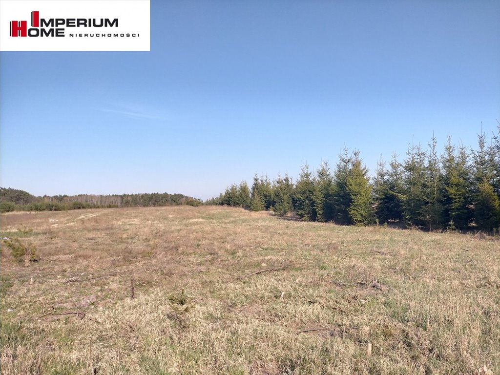 Działka 3000 m² w Bietowie – spokojna okolica, lasy i jeziora Bietowo  3 000m2 Foto 1