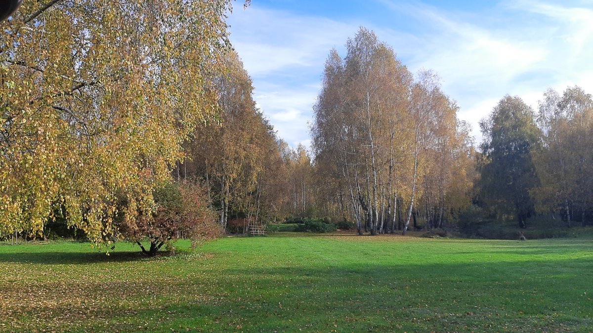 Działka budowlana na sprzedaż Iława, Iława, Starzykowo  11 561m2 Foto 17