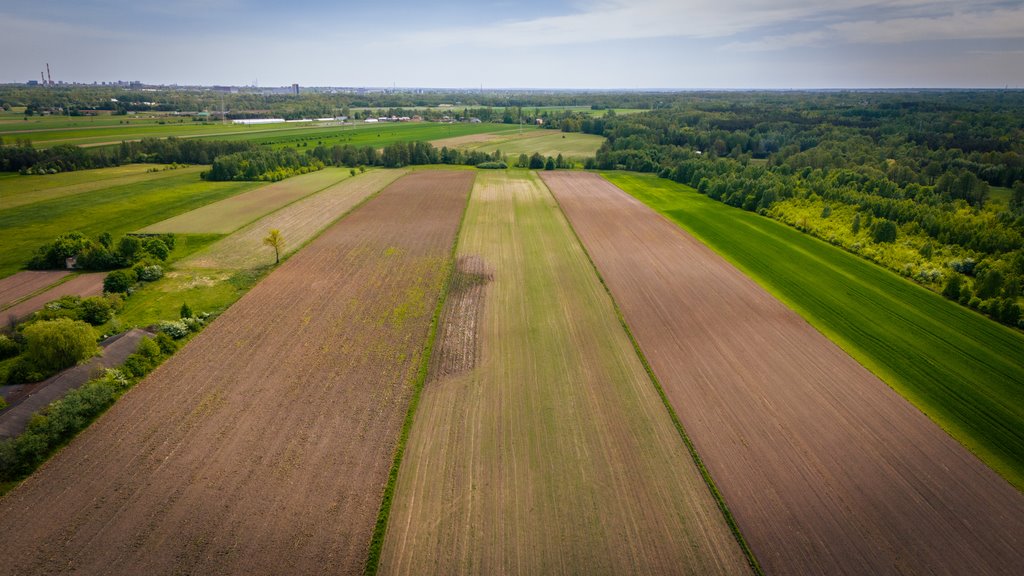 Działka budowlana na sprzedaż Zgierz, Irysowa  1 020m2 Foto 8