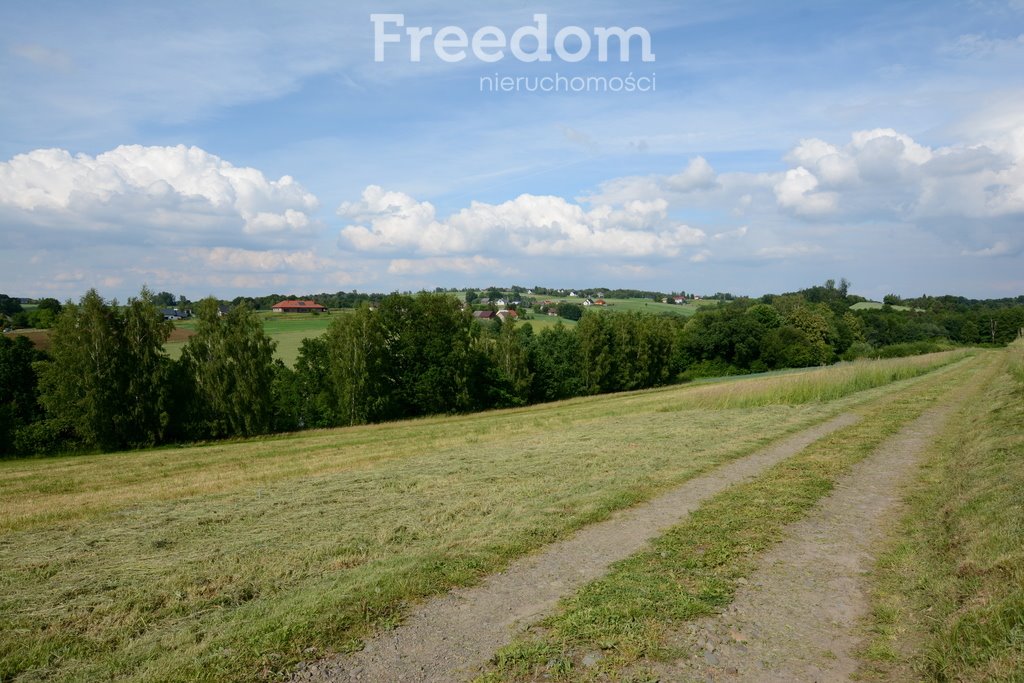 Działka budowlana na sprzedaż Frydrychowice  993m2 Foto 2