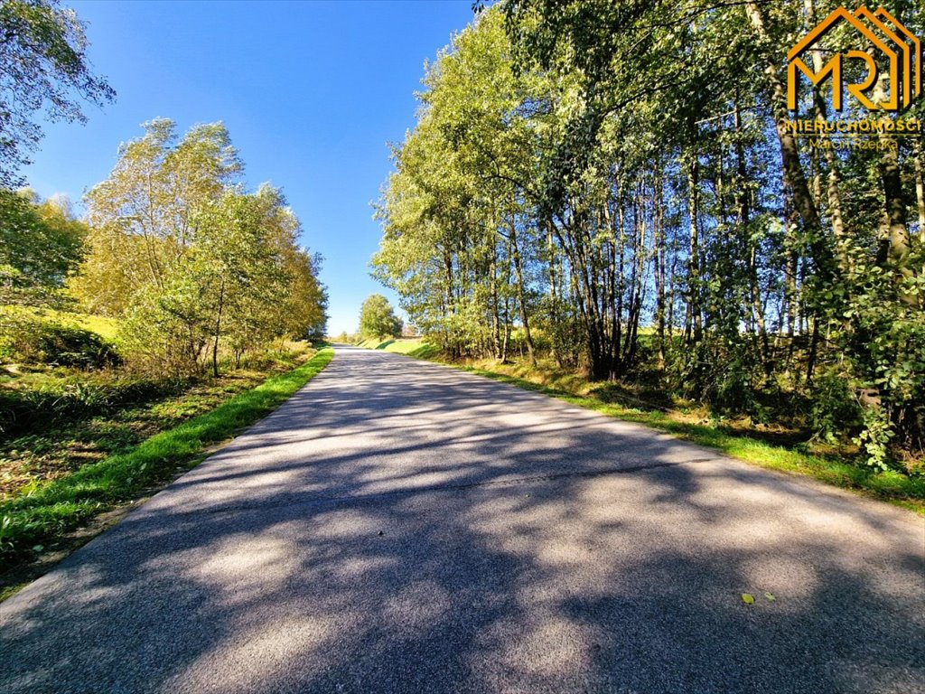 Działka inna na sprzedaż Łęki Górne  7 000m2 Foto 15