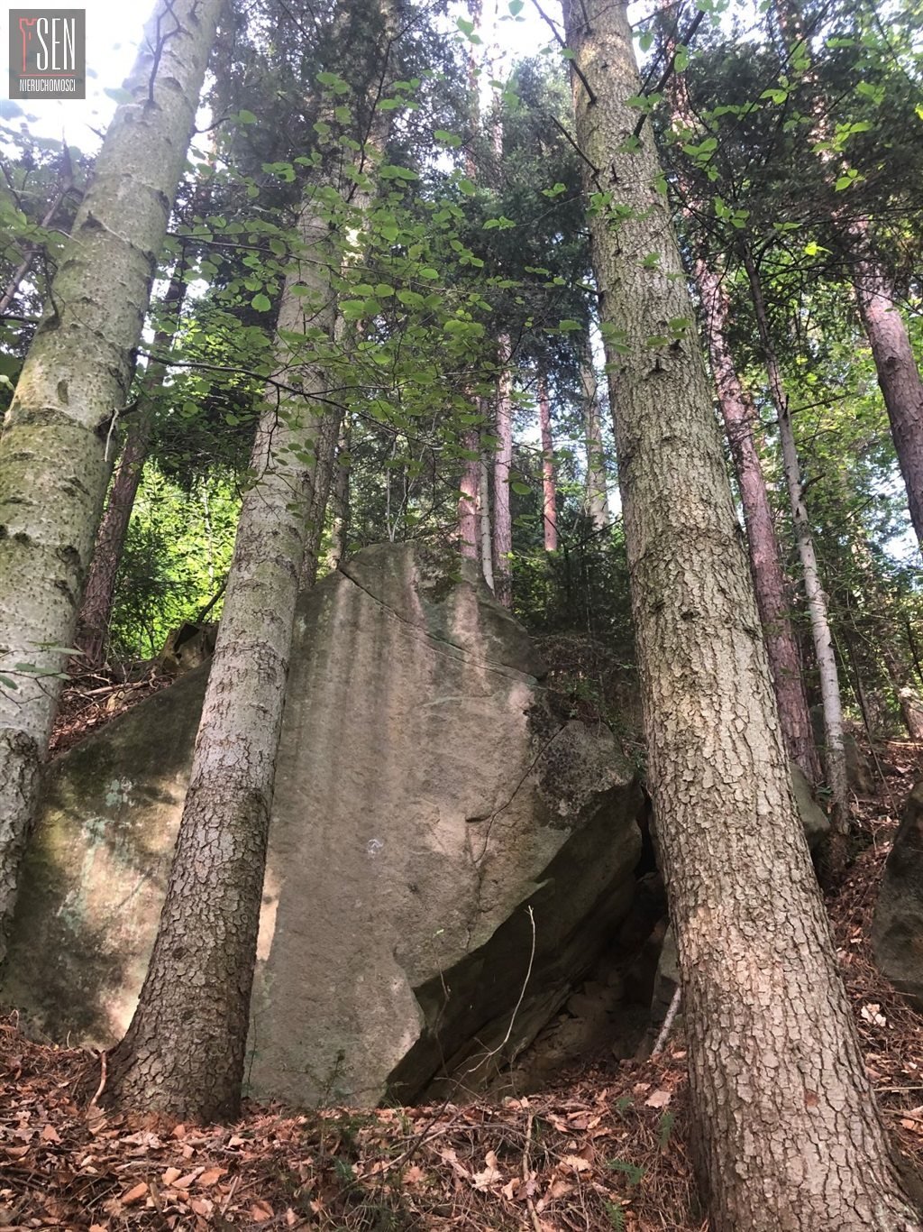 Działka inna na sprzedaż Rożnów  15 600m2 Foto 2