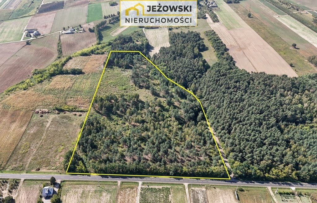 Działka budowlana na sprzedaż Łaziska  59 200m2 Foto 2