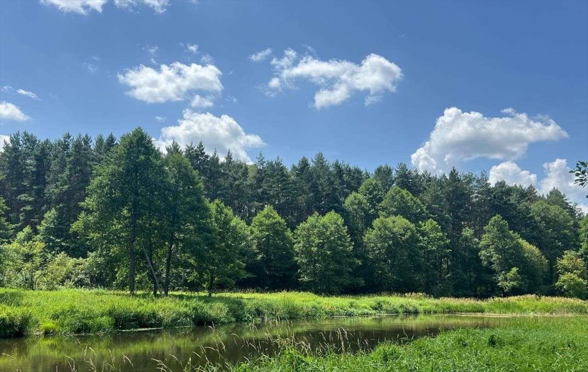 Działka rekreacyjna na sprzedaż Dworszowice Kościelne  780m2 Foto 1