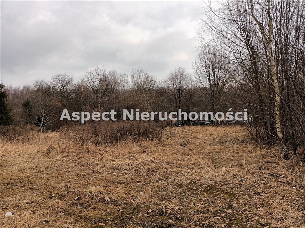 Działka budowlana na sprzedaż Żory, Baranowice  6 569m2 Foto 6