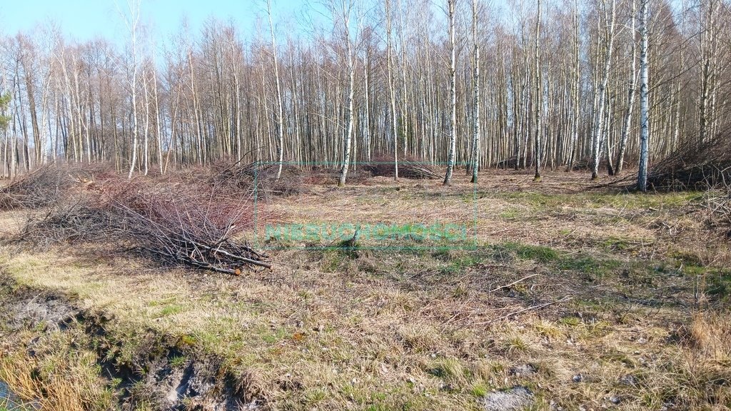 Działka leśna z prawem budowy na sprzedaż Jaktorów  8 700m2 Foto 9