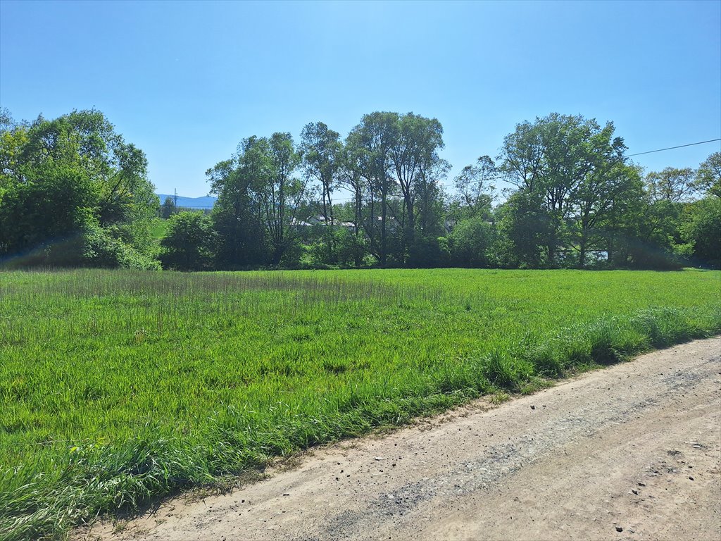 Działka komercyjna na sprzedaż Bielsko-Biała, Hałcnów, Głośna  4 785m2 Foto 1