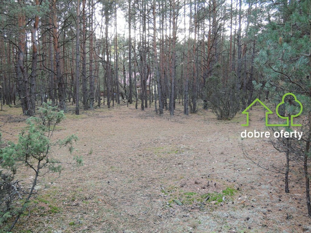 Działka leśna na sprzedaż Popowo-Letnisko  2 841m2 Foto 10