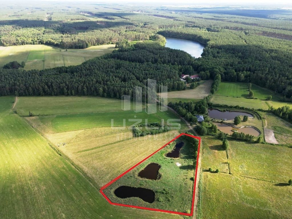 Działka budowlana na sprzedaż Stara Huta  10 067m2 Foto 1