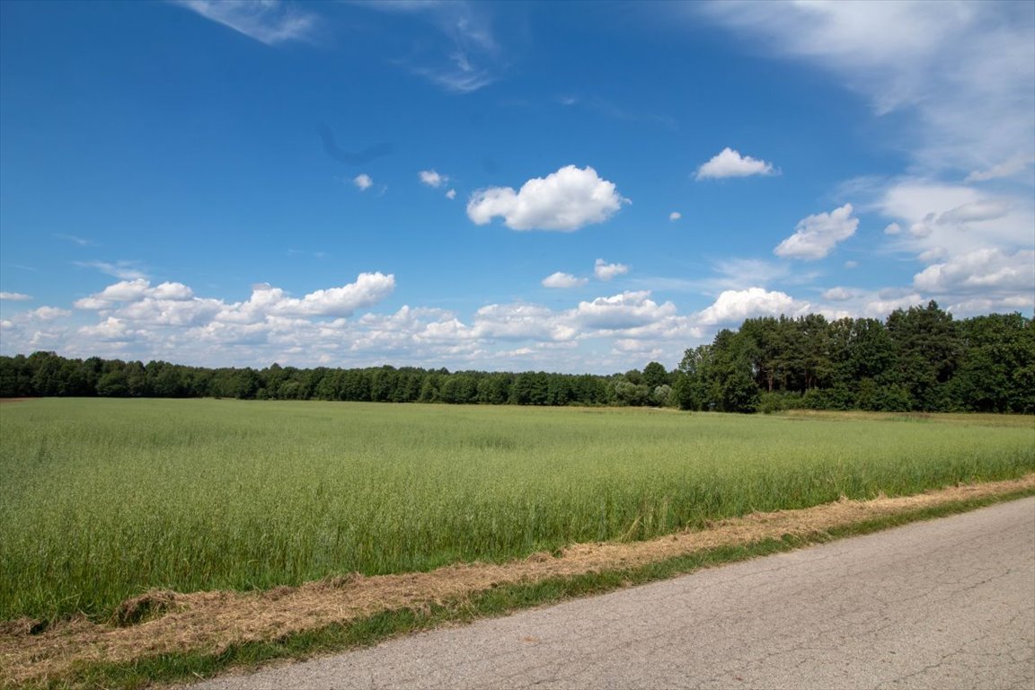 Działka budowlana na sprzedaż Woźniki, Czarny Las, Czarny Las  29 522m2 Foto 11