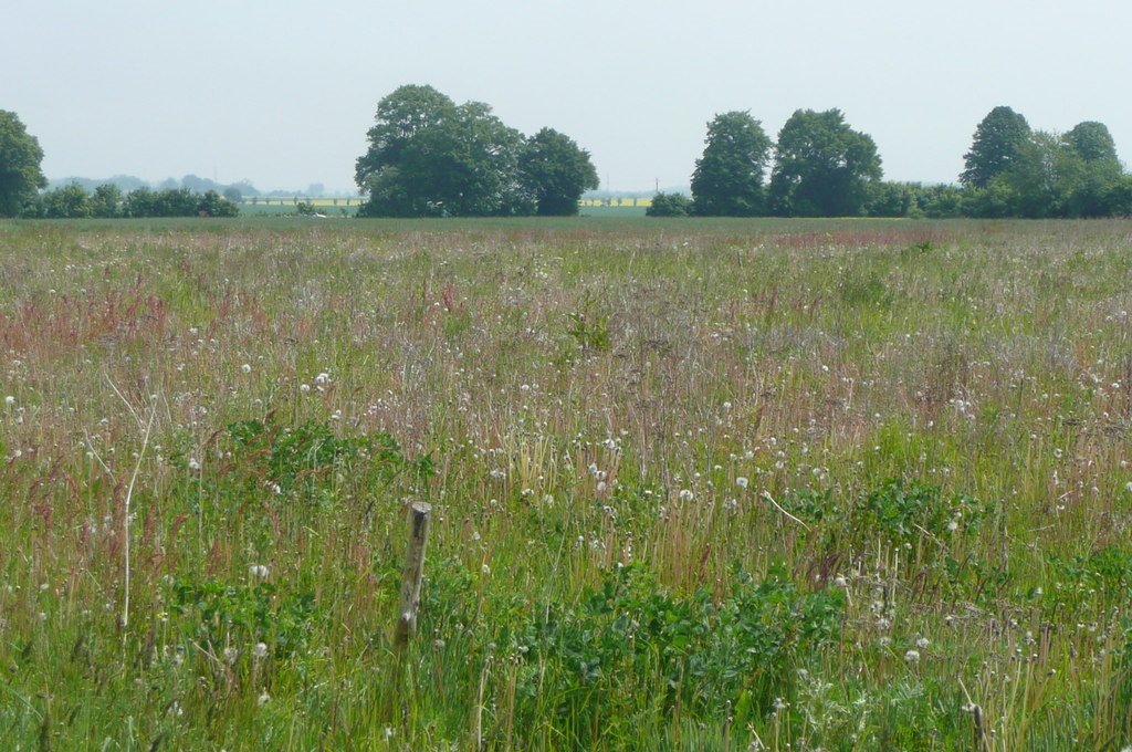 Działka budowlana na sprzedaż Połczyno  1 117m2 Foto 1