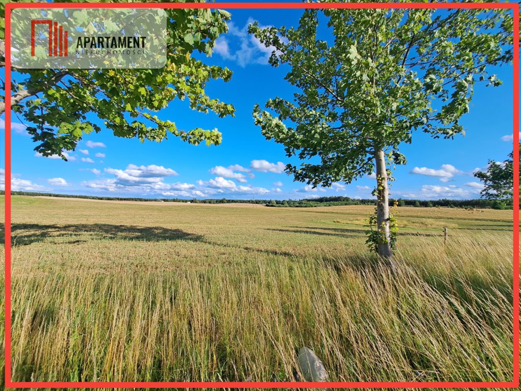 Działka budowlana na sprzedaż Odry  5 000m2 Foto 1