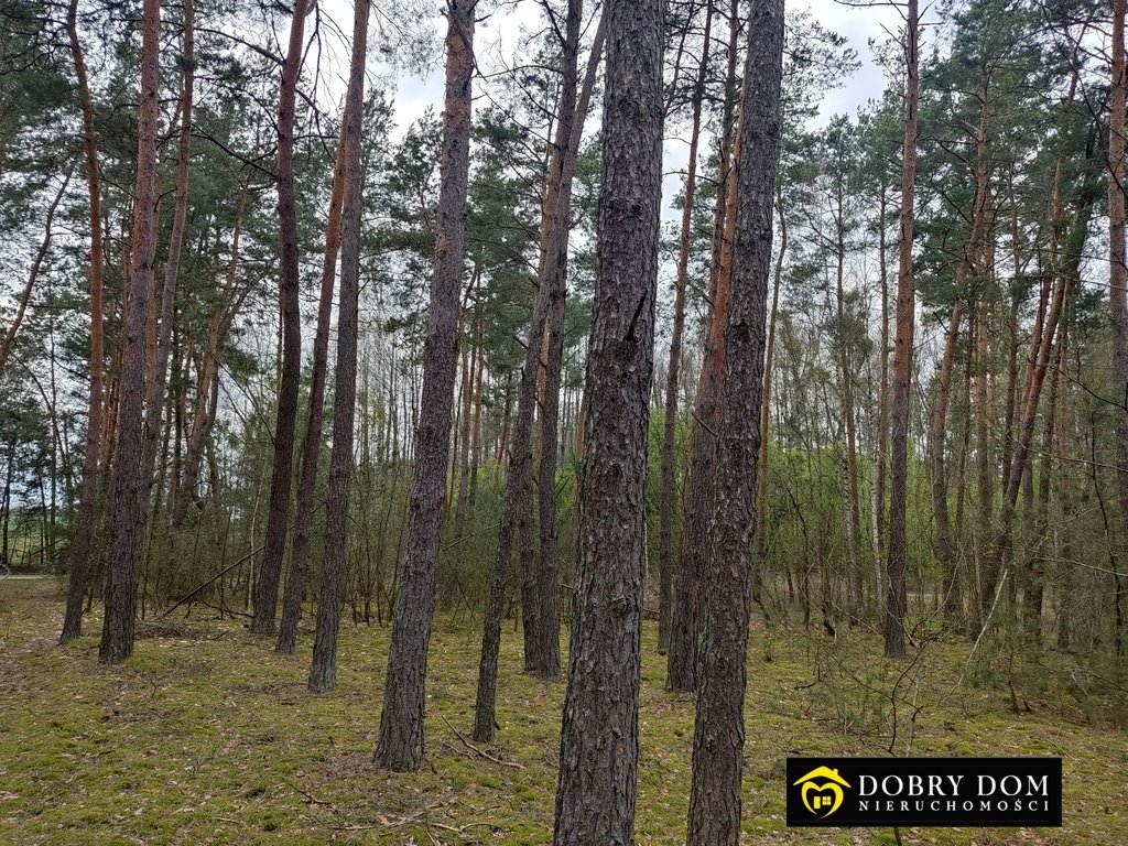 Działka leśna na sprzedaż Hryniewicze Duże  9 570m2 Foto 2
