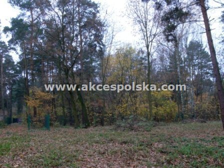 Działka budowlana na sprzedaż Żółwin 2 607m2 Foto 1 Działka budowlana na sprzedaż Żółwin 2 607m2 Foto 1