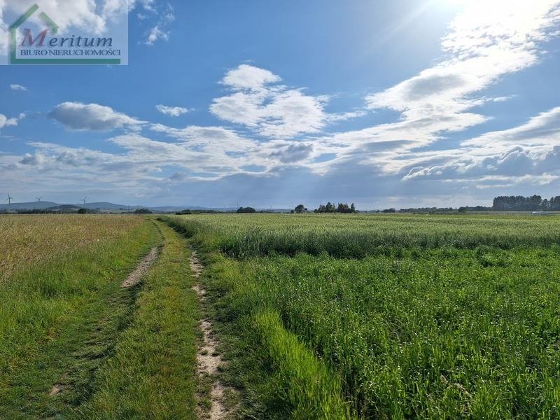 Działka rolna na sprzedaż Bzianka  3 088m2 Foto 3