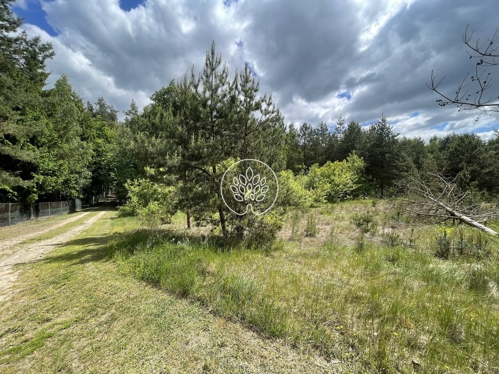 Działka 16,5 ha w Nowym Jasieńcu – las, swoboda zabudowy! Nowy Jasiniec  16 557m2 Foto 1