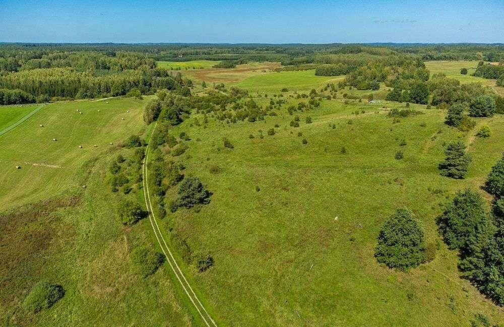 Działka siedliskowa na sprzedaż Łaniewo  1 806m2 Foto 5