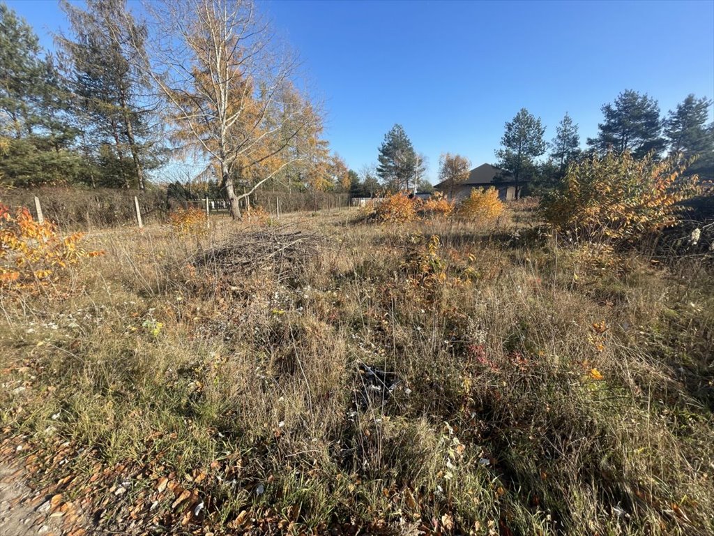 Działka budowlana na sprzedaż Mieszkowo, Szklarniowa  4 000m2 Foto 1