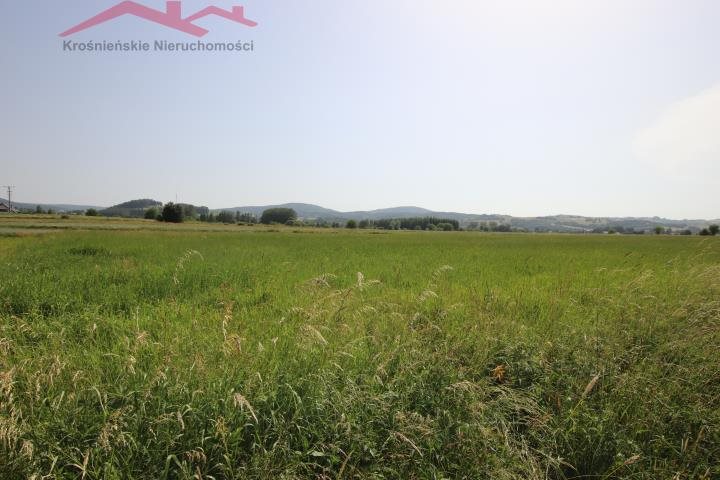 Działka rolna 8,53 arów w Rymanowie – potencjał inwestycyjny Rymanów  853m2 Foto 1