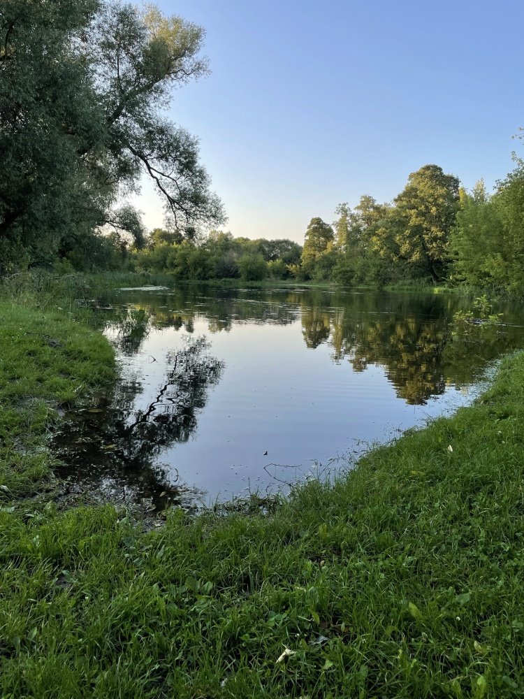 Działka budowlana na sprzedaż Sobieski, Sobieski  13 659m2 Foto 9