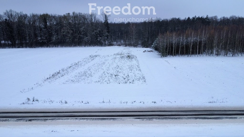 Działka budowlana na sprzedaż Grębków  5 700m2 Foto 4