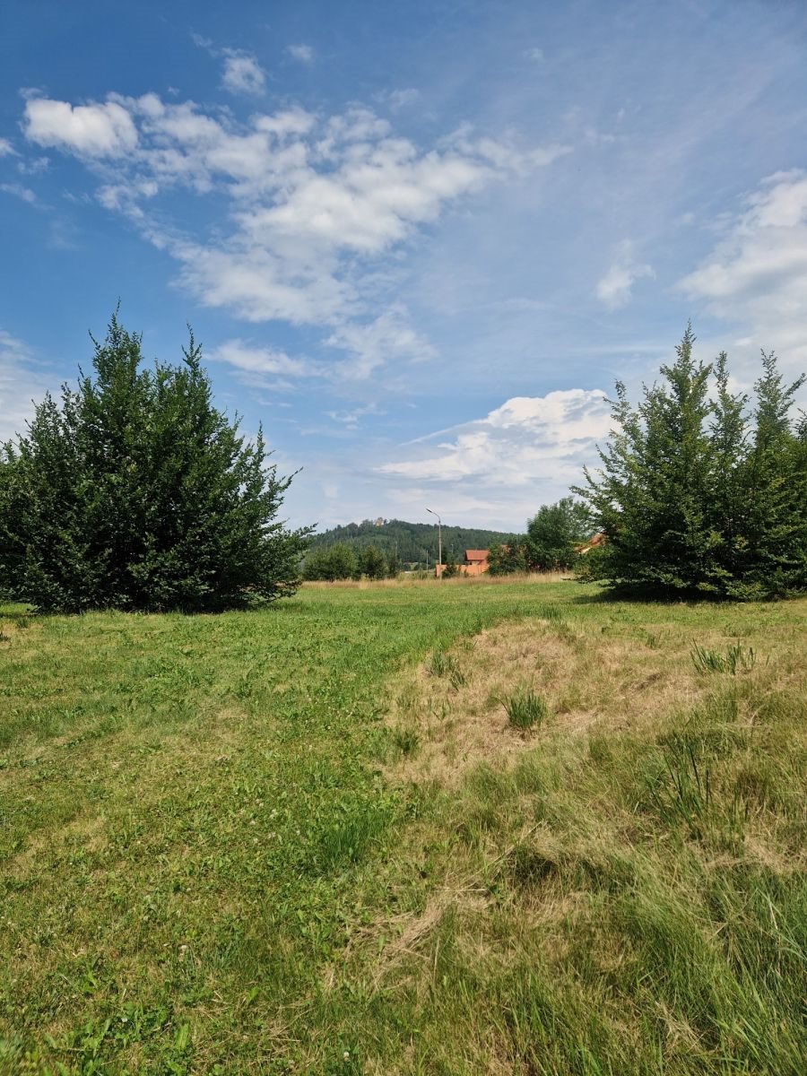 Działka przemysłowo-handlowa na sprzedaż Sosnówka  1 000m2 Foto 8