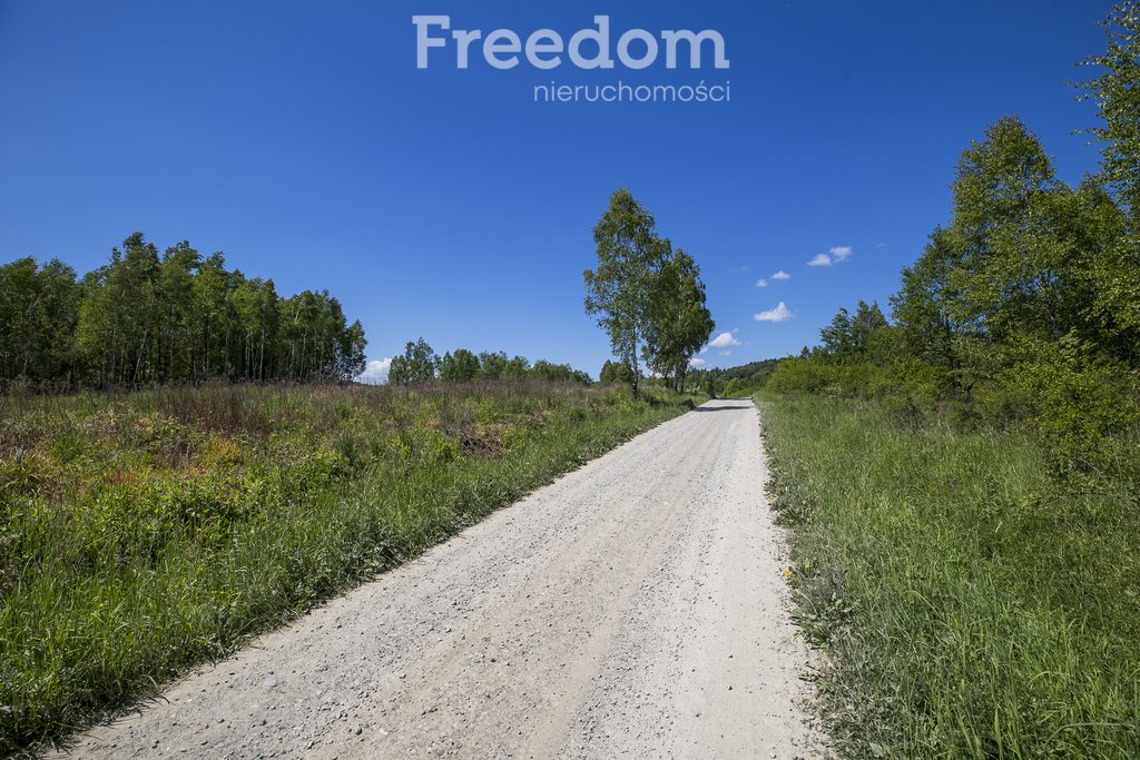 Działka inwestycyjna na sprzedaż Błażowa Górna  78 800m2 Foto 6