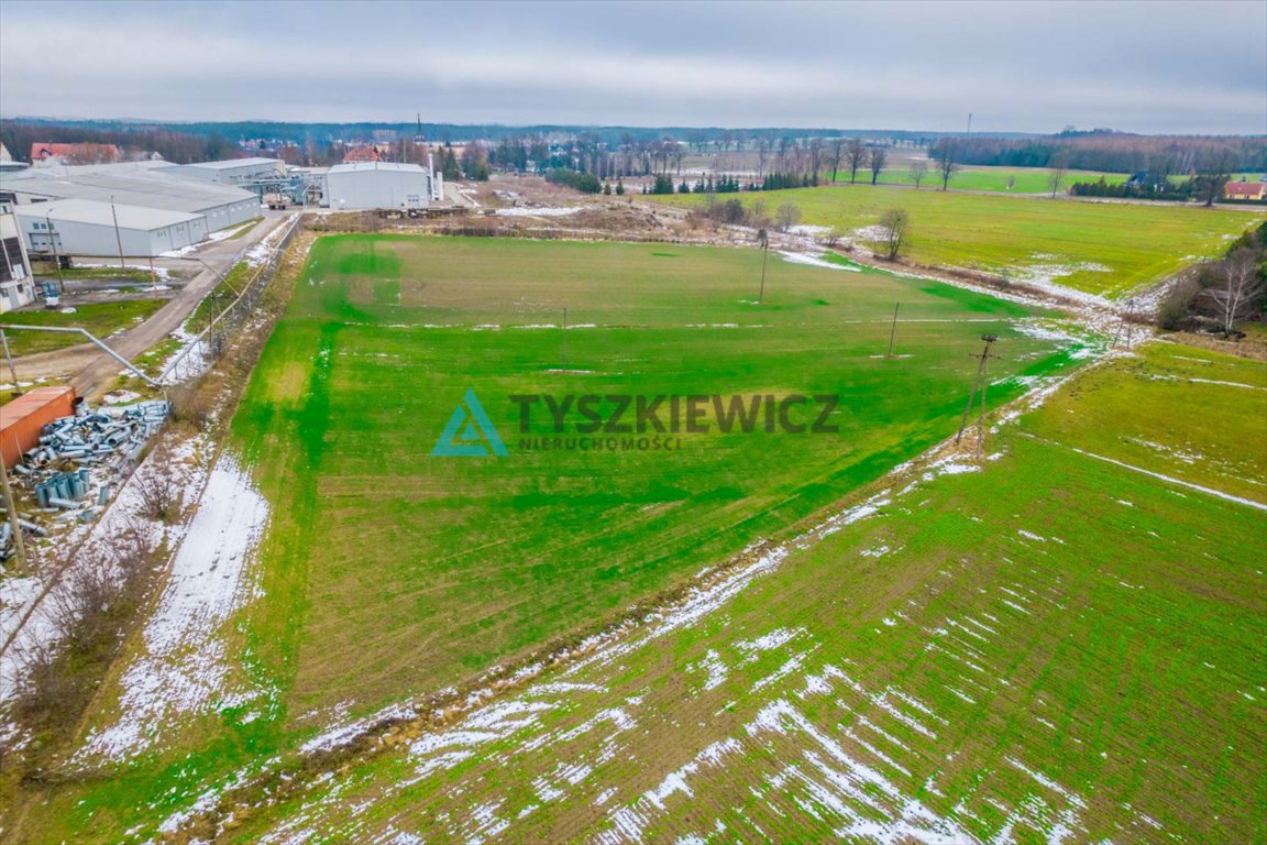 Działka przemysłowo-handlowa na sprzedaż Wielki Klincz  6 900m2 Foto 7