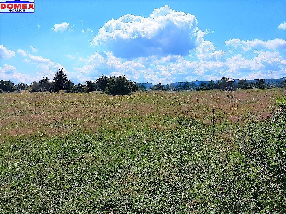 Działka budowlana na sprzedaż Kryg  20m2 Foto 1