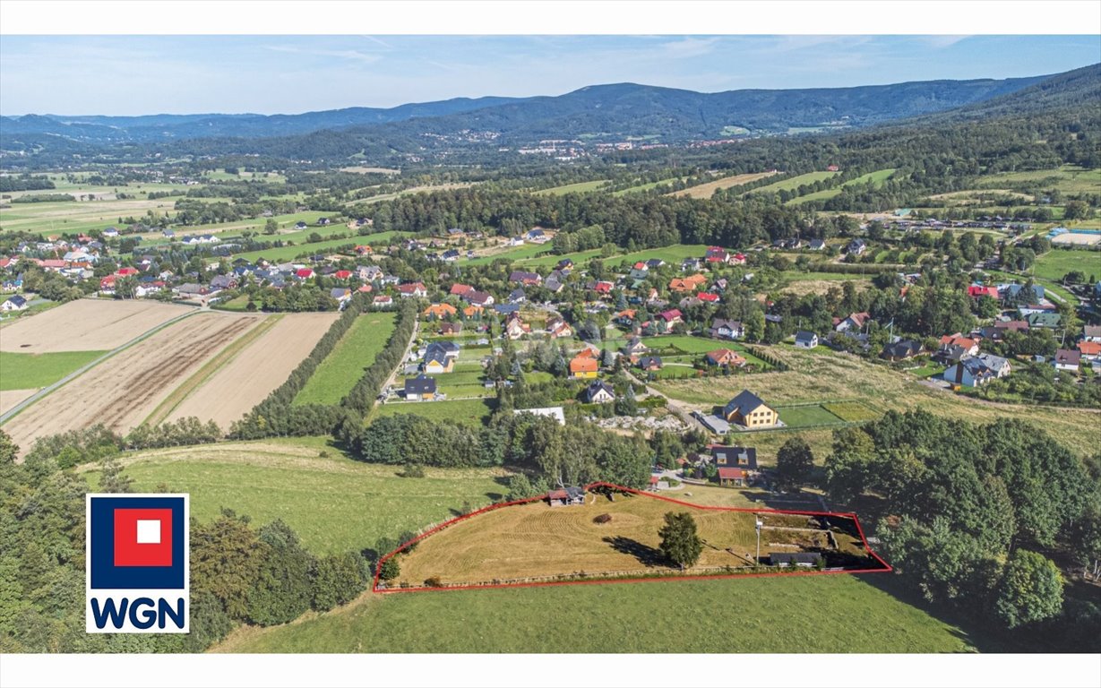 Działka budowlana na sprzedaż Ściegny, Księża Góra  4 010m2 Foto 3