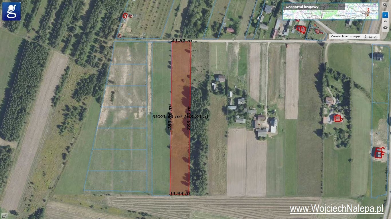 Działka budowlana na sprzedaż Orzechówka  9 800m2 Foto 11