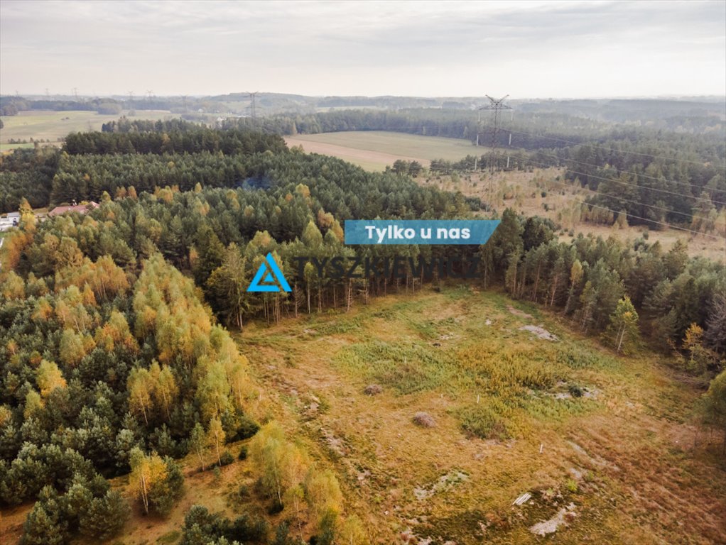 Działka 1013 m² pod zabudowę w Kowalewie, las, dojazd Kowalewo  1 013m2 Foto 1