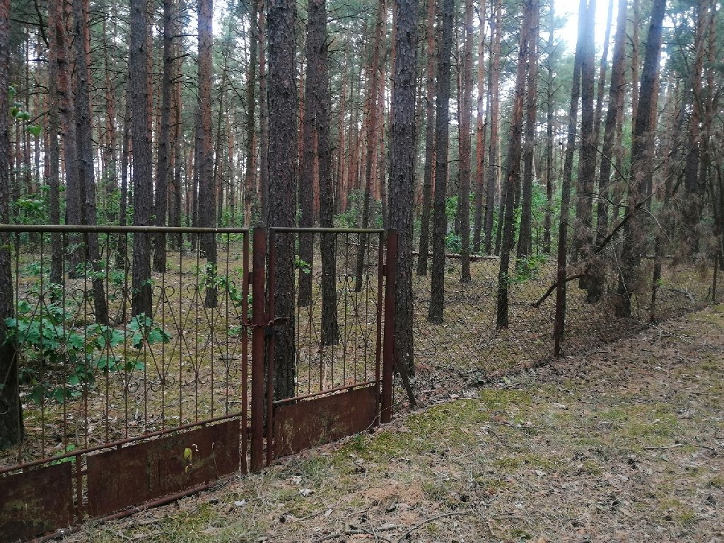 Działka rolna na sprzedaż Starowola, Puchacza  1 100m2 Foto 11