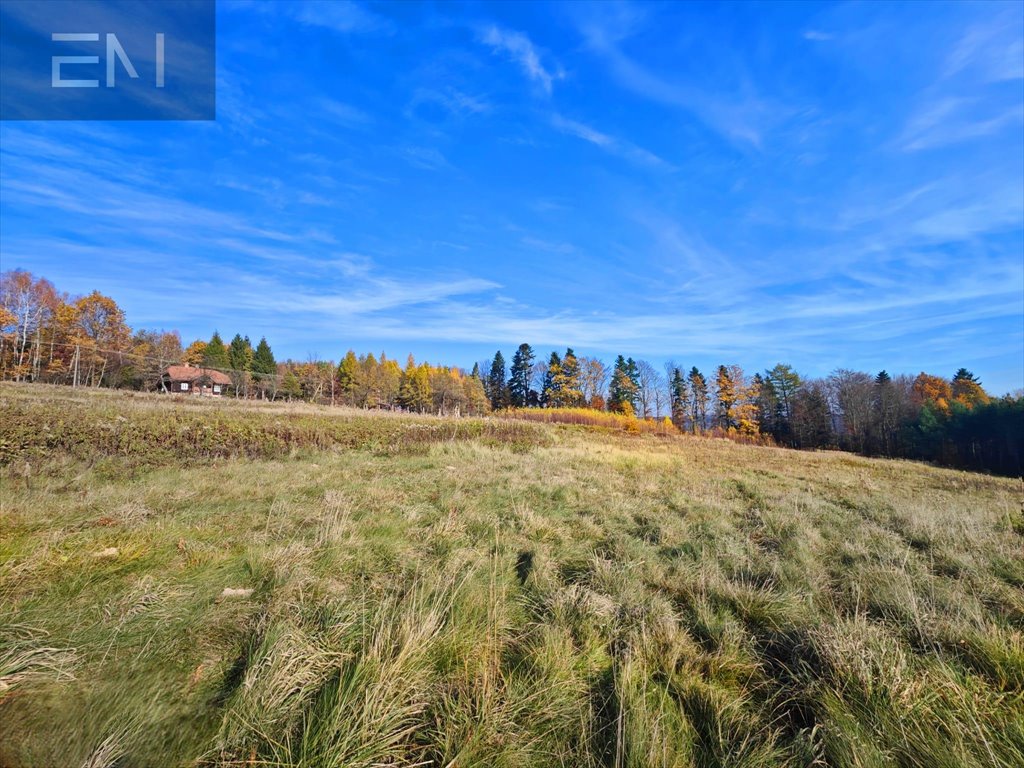 Działka budowlana na sprzedaż Lutcza  7 000m2 Foto 1