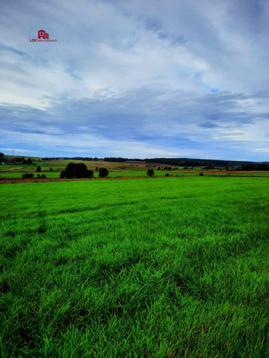 Działka budowlana na sprzedaż Łęczyce  17 800m2 Foto 3