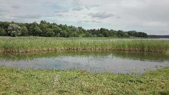 Działka nad czystym jeziorem Luterskim, 11 106 m2 Pierwągi  11 106m2 Foto 1