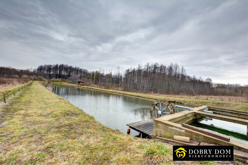 Działka z stawem, rekreacją i własnym prądem 7 382 m² Krynki  7 382m2 Foto 1