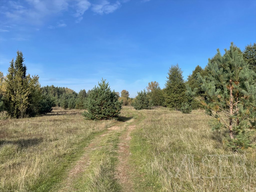 Działka rolna na sprzedaż Michałowo  38 400m2 Foto 12