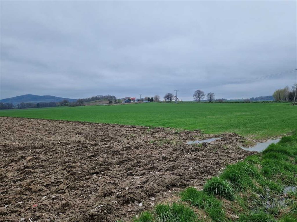 Działka inna na sprzedaż Łagiewniki, Jaźwina  5 900m2 Foto 6