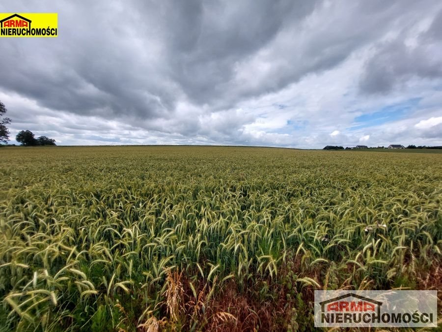 Działka inna na sprzedaż Bielkowo  32 900m2 Foto 3