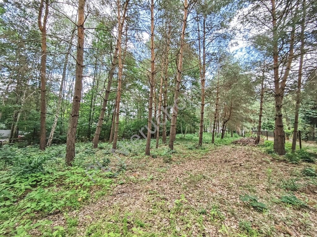 Działka budowlana 1044 m² w Komorowie z mediami i blisko WKD Komorów  1 044m2 Foto 1