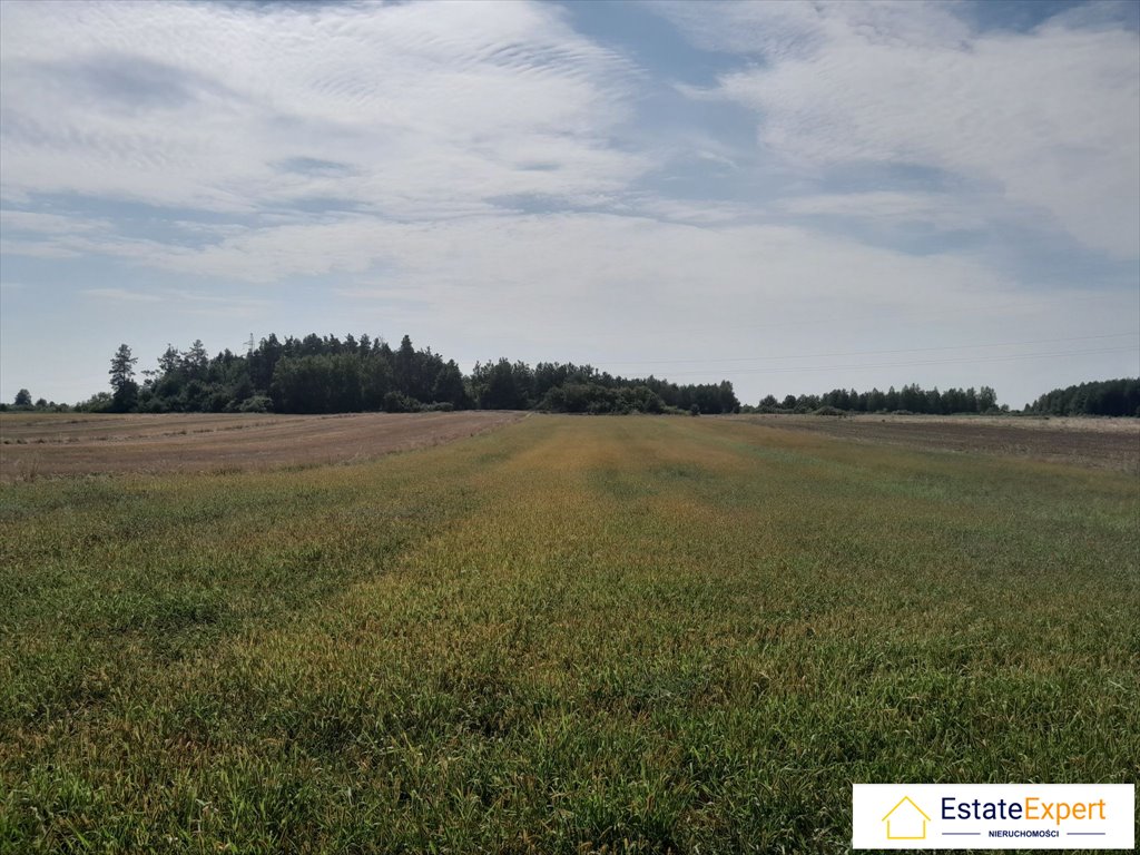 Działka budowlana na sprzedaż Skrzelczyce, Skrzelczyce  8 100m2 Foto 3