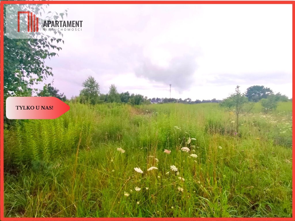 Działka 3000 m² pod dom w Zblewie, lasy, media Zblewo  3 000m2 Foto 1