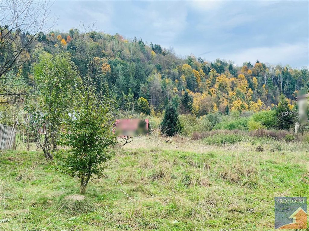 Działka budowlana na sprzedaż Kamienica  1 000m2 Foto 7