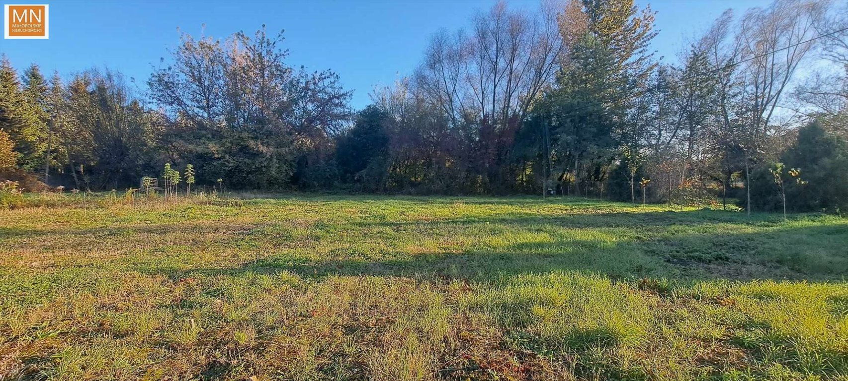 Działka budowlana na sprzedaż Słomniki, Centrum, Stefana Żeromskiego  2 200m2 Foto 5