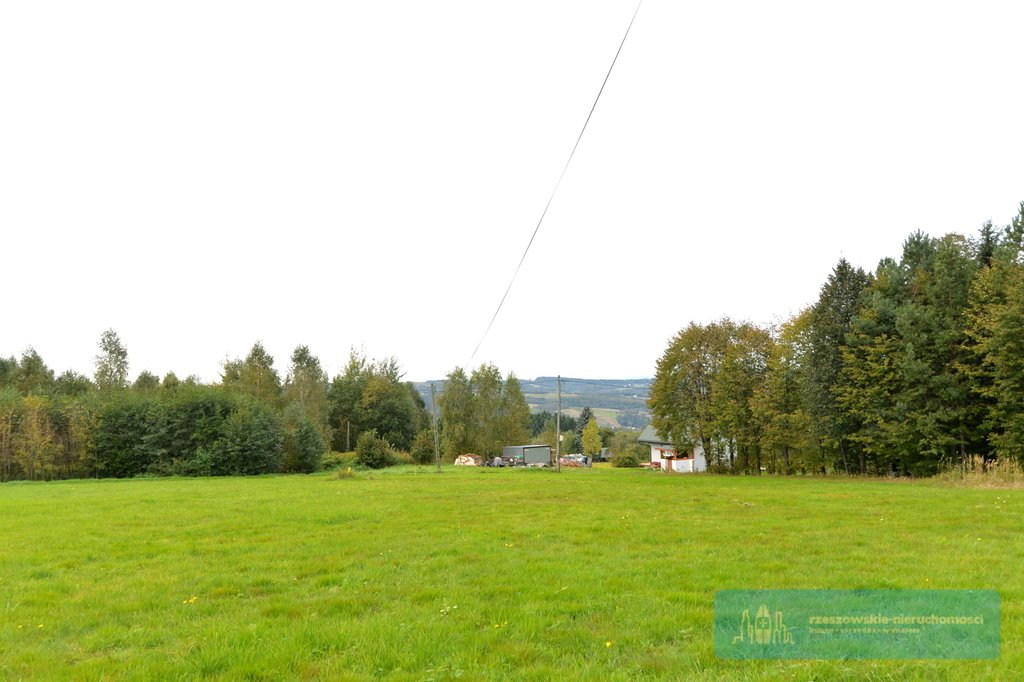 Działka budowlana na sprzedaż Baryczka  2 800m2 Foto 3