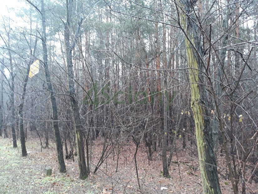 Działka budowlana na sprzedaż Józefów 2 145m2 Foto 1 Działka budowlana na sprzedaż Józefów 2 145m2 Foto 1
