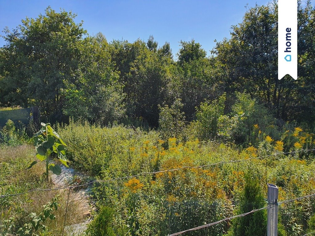 Działka budowlana na sprzedaż Mokry Dwór, Stefana Batorego  1 555m2 Foto 5