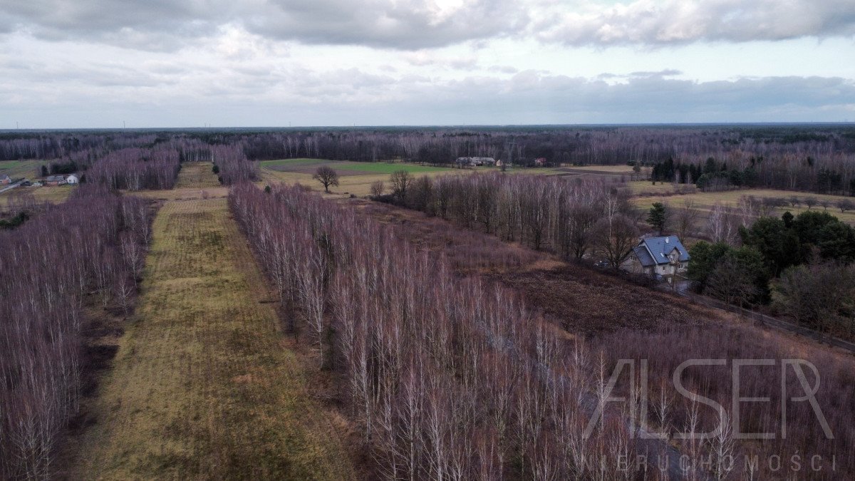 Działka budowlana na sprzedaż Desno  2 764m2 Foto 8